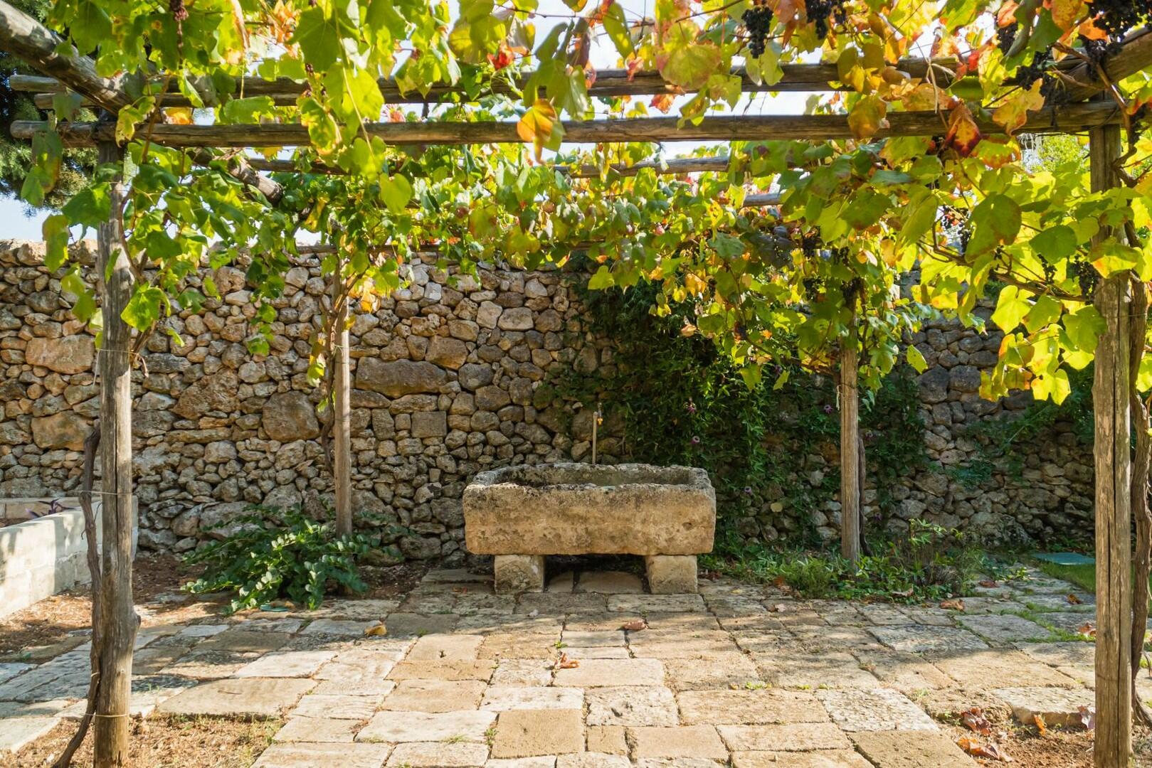 BELLISSIMA VILLA CON PISCINA IMMERSA IN UN GIARDINO FINEMENTE CURATO