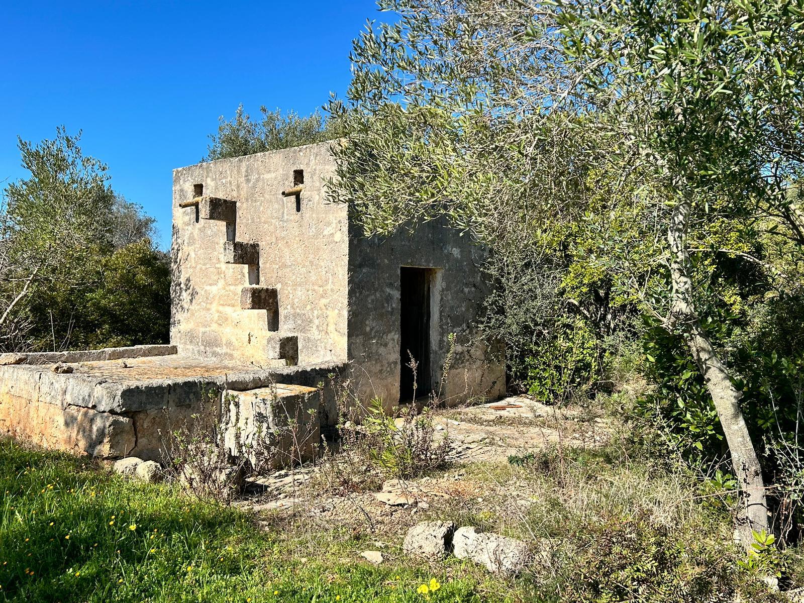 Villa moderna con Piscina e Trullo