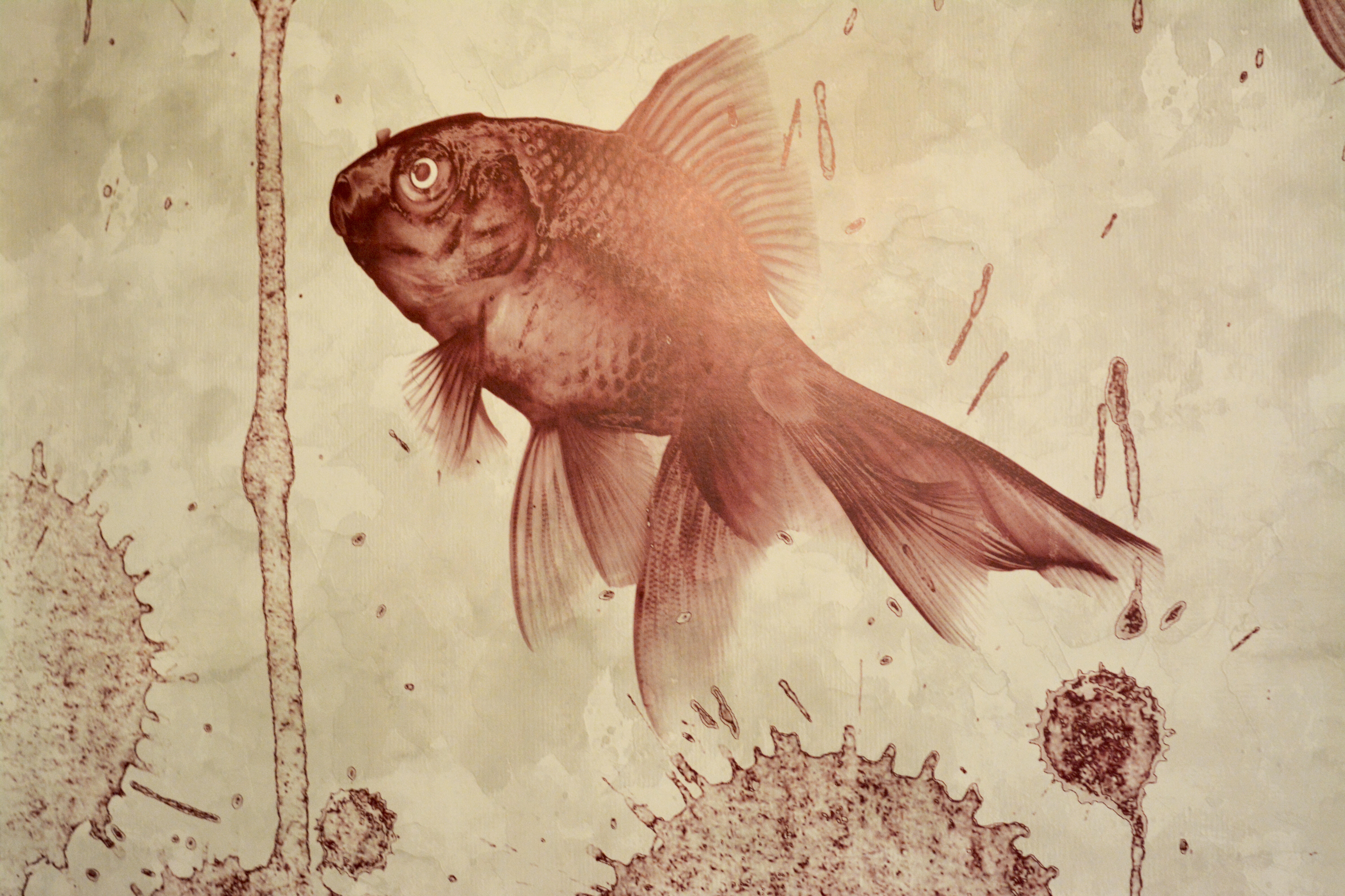 Historic Palazzetto with Terraces and Mini-Pool for Sale, Lecce