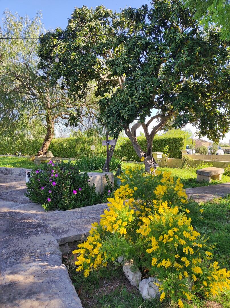 Autentica Masseria in Puglia, chiavi in mano 