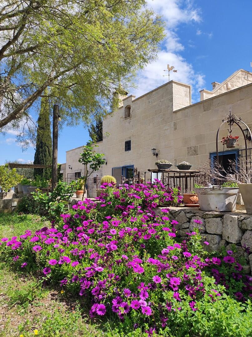 Autentica Masseria in Puglia, chiavi in mano 