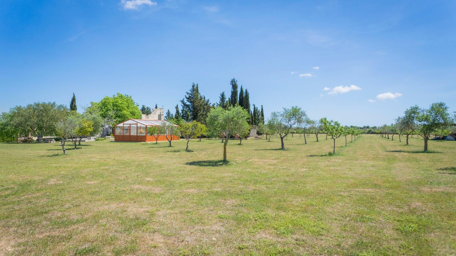 Masseria con piscina in vendita, Puglia