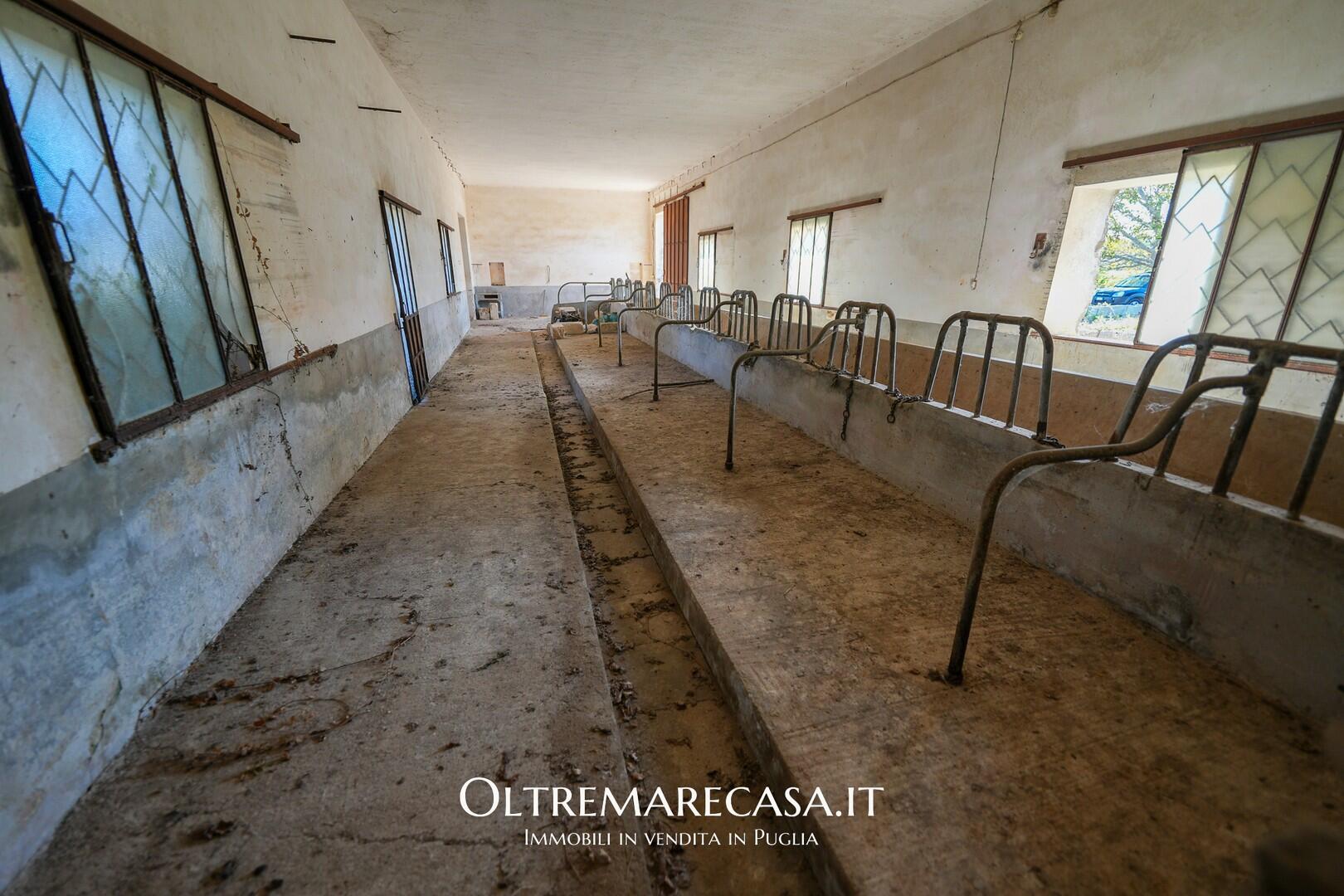 Antica Masseria in Vendita in Puglia