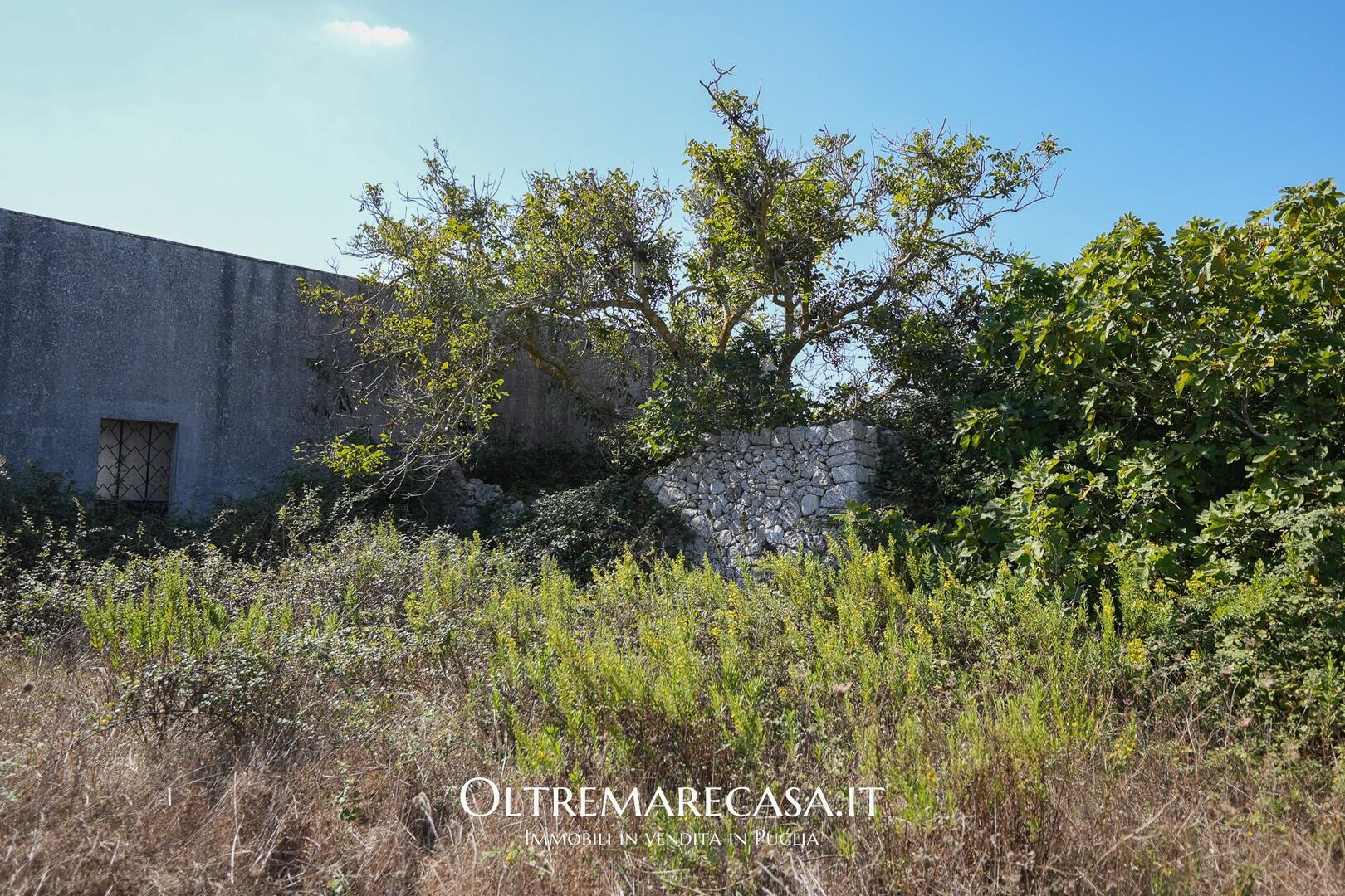 Antica Masseria in Vendita in Puglia