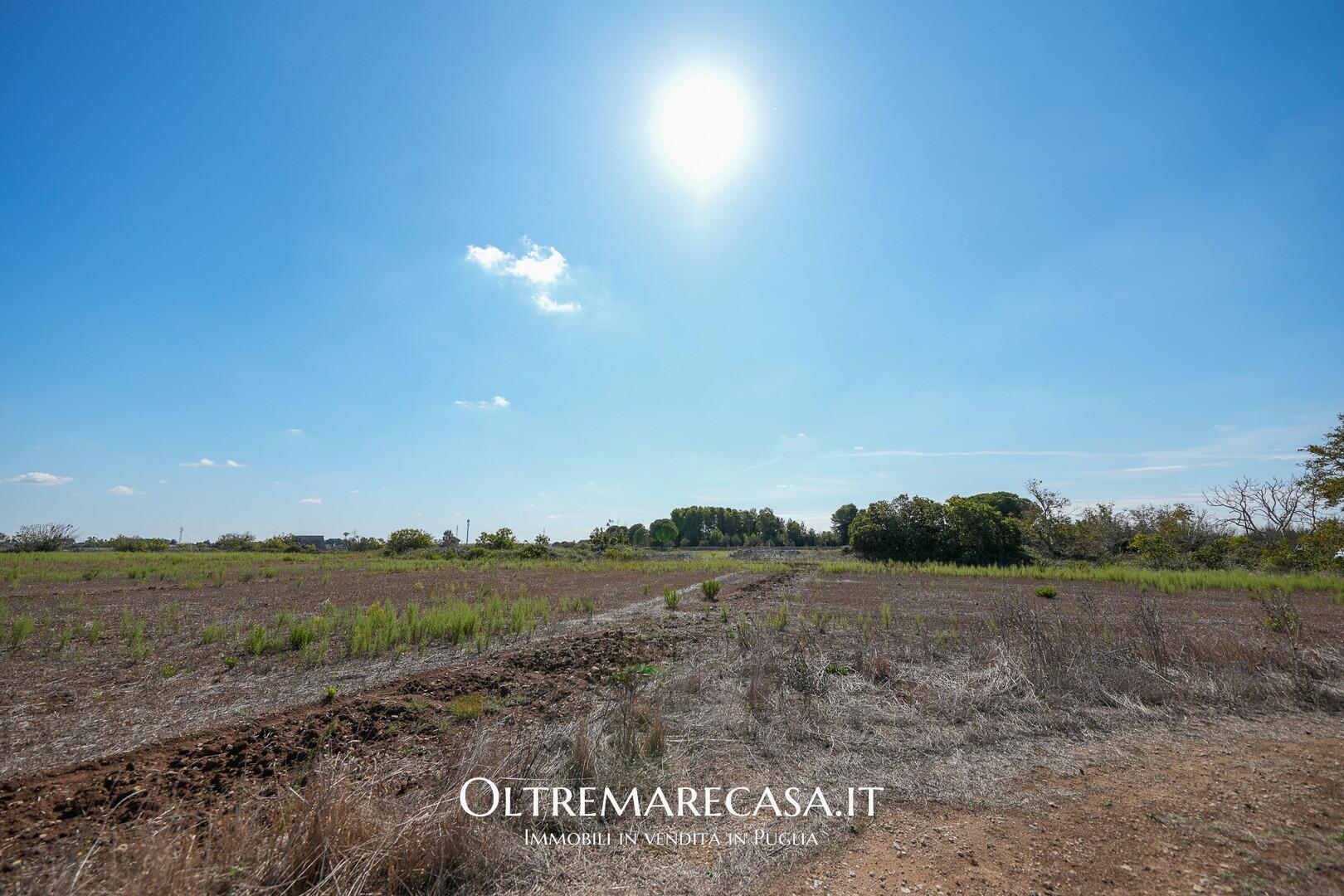 Antica Masseria in Vendita in Puglia