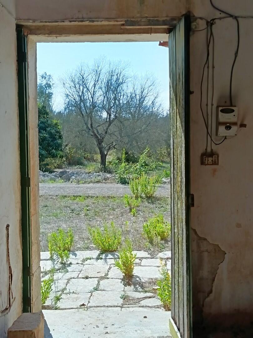 Antica Masseria in Vendita in Puglia