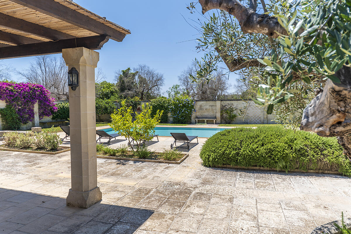 Villa with pool and olive groves for sale