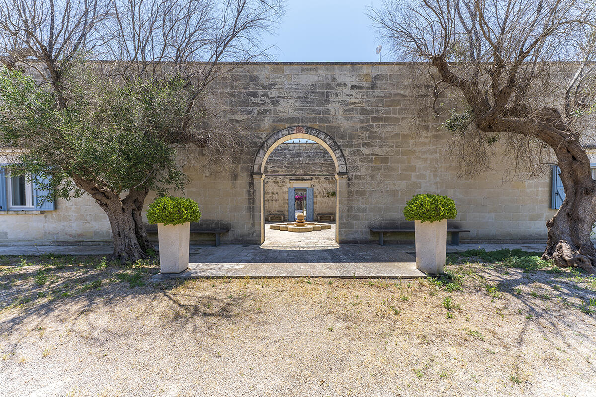 Villa with pool and olive groves for sale