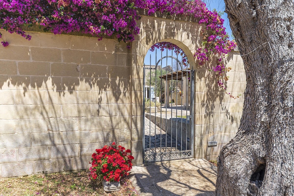 Villa with pool and olive groves for sale