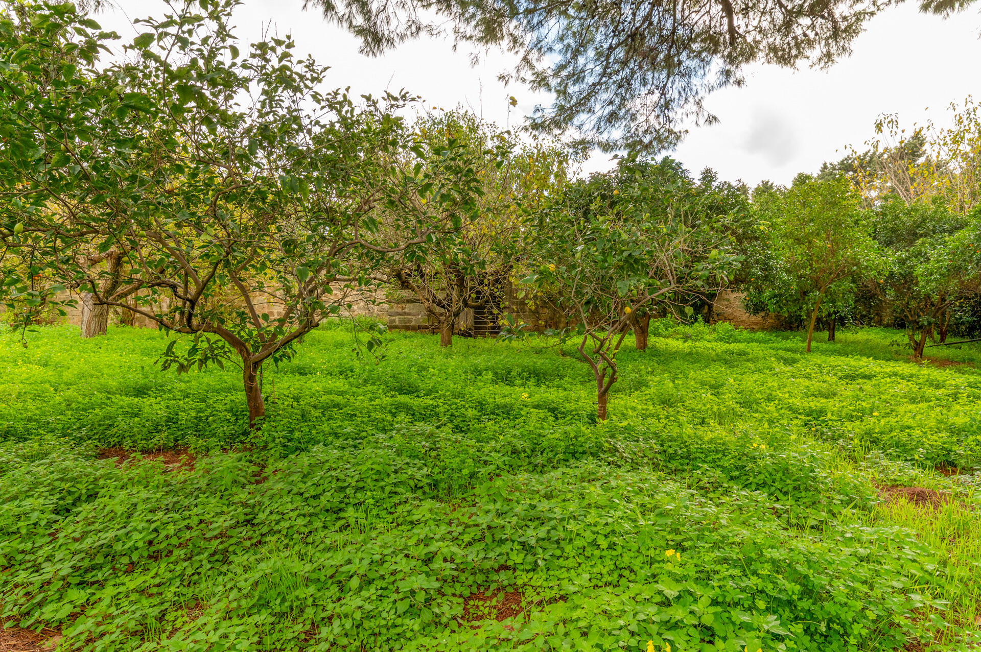 Villa d’epoca con piscina e parco in vendita a Lecce