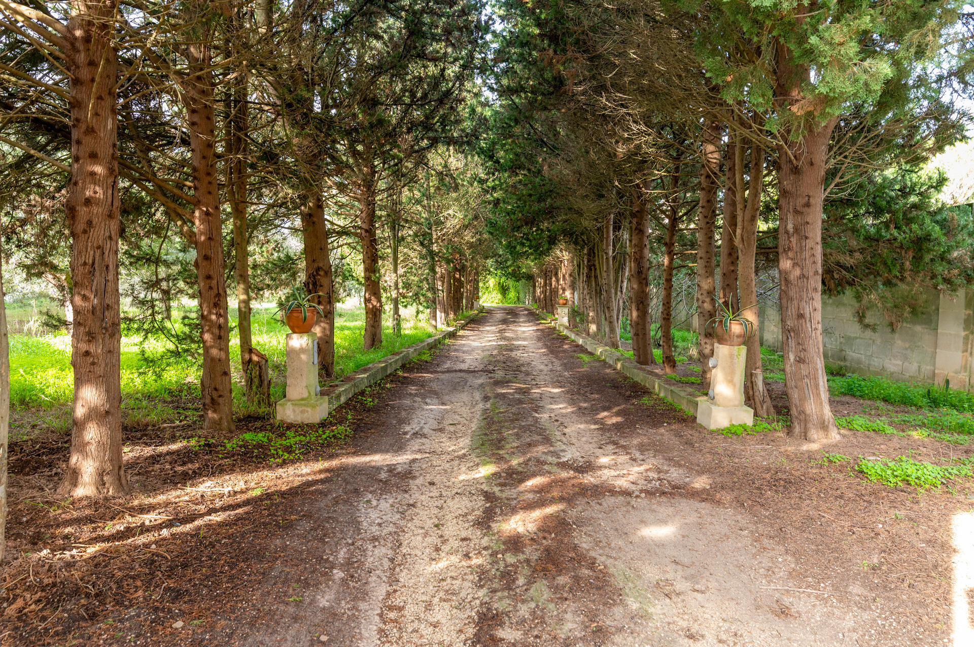 Villa d’epoca con piscina e parco in vendita a Lecce