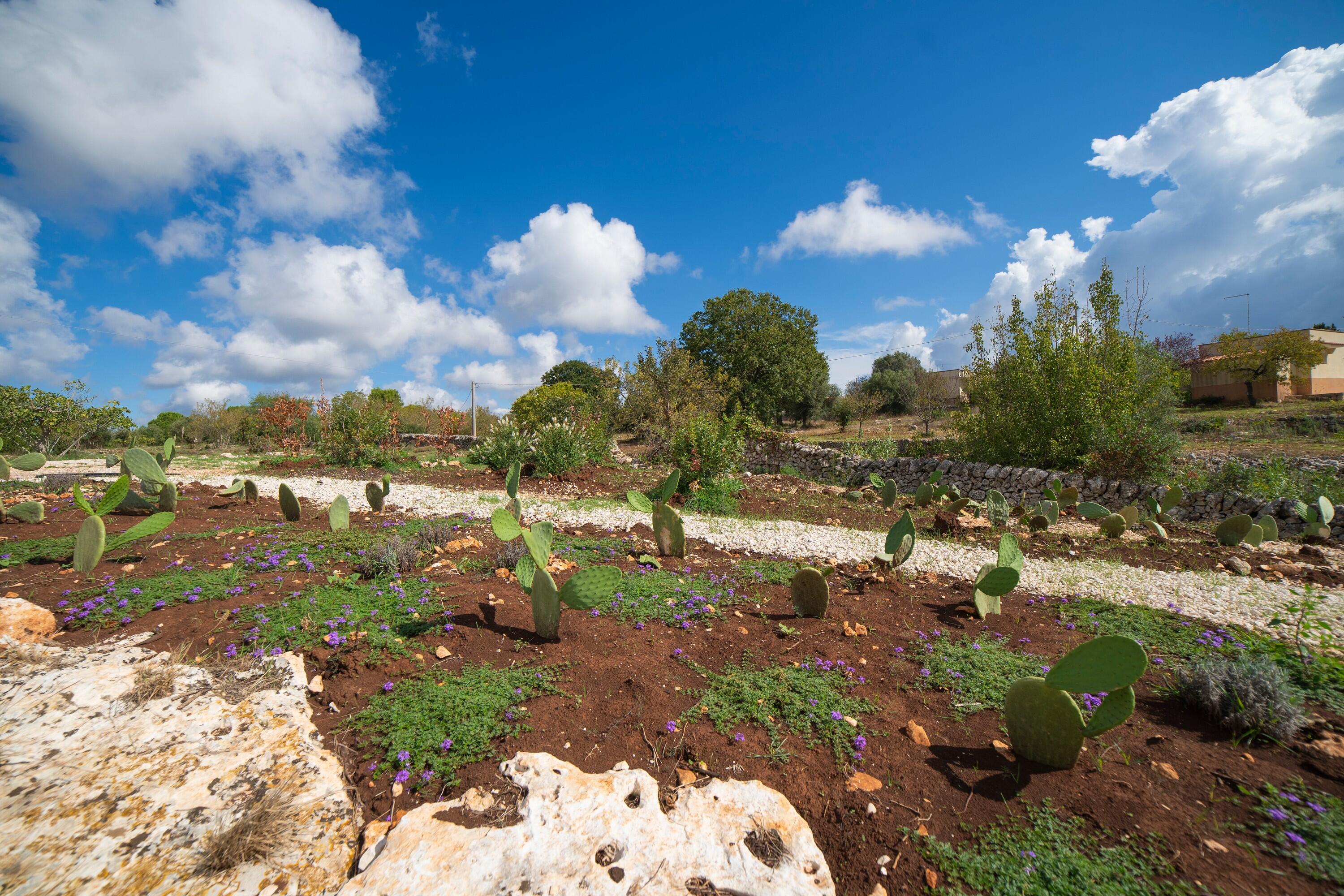 Villa For Sale in Puglia, Valle d‘Itria